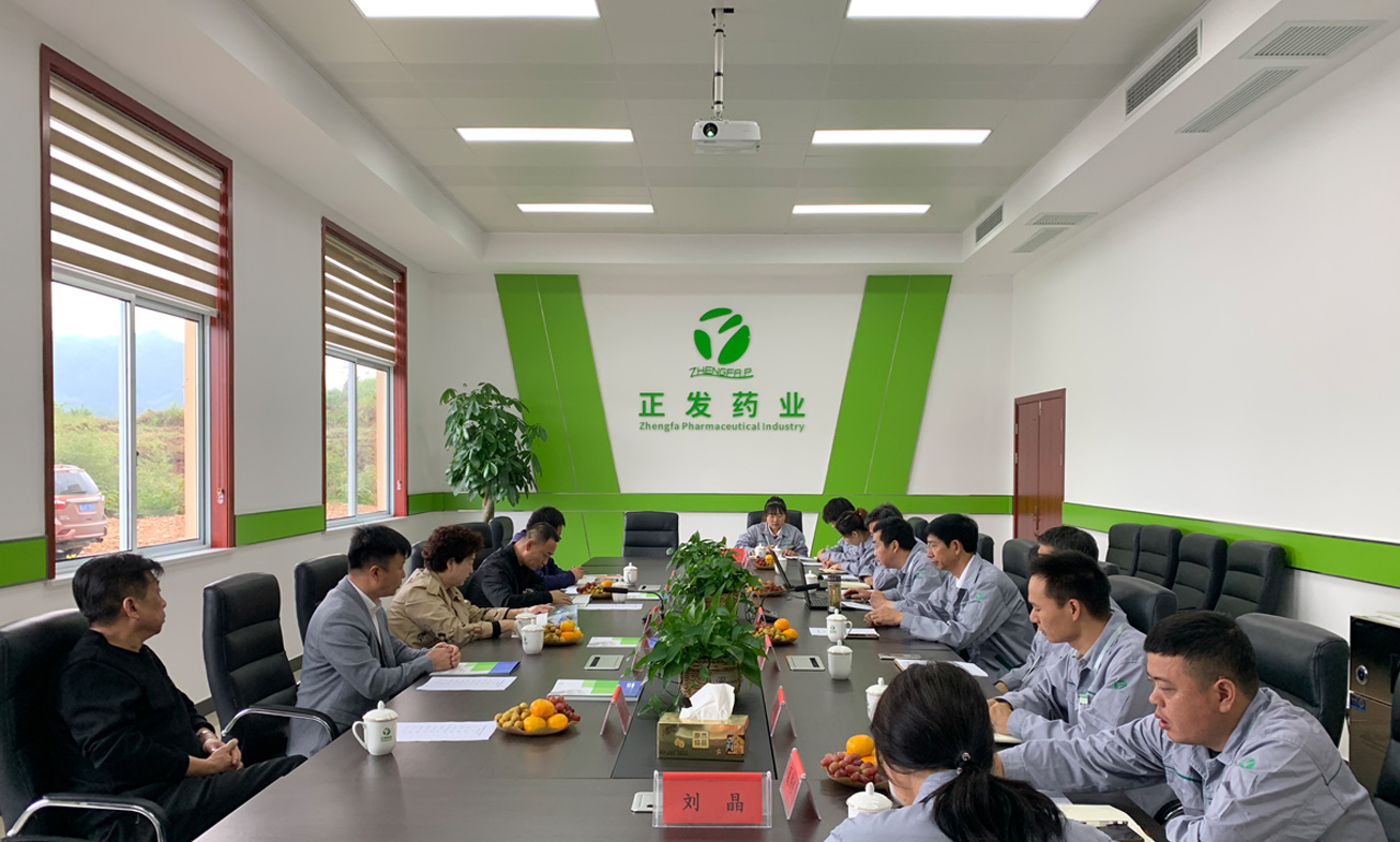 正发药业顺利通过北京振东康远制药有限公司质量审计-以产品促合作,以双赢共发展
