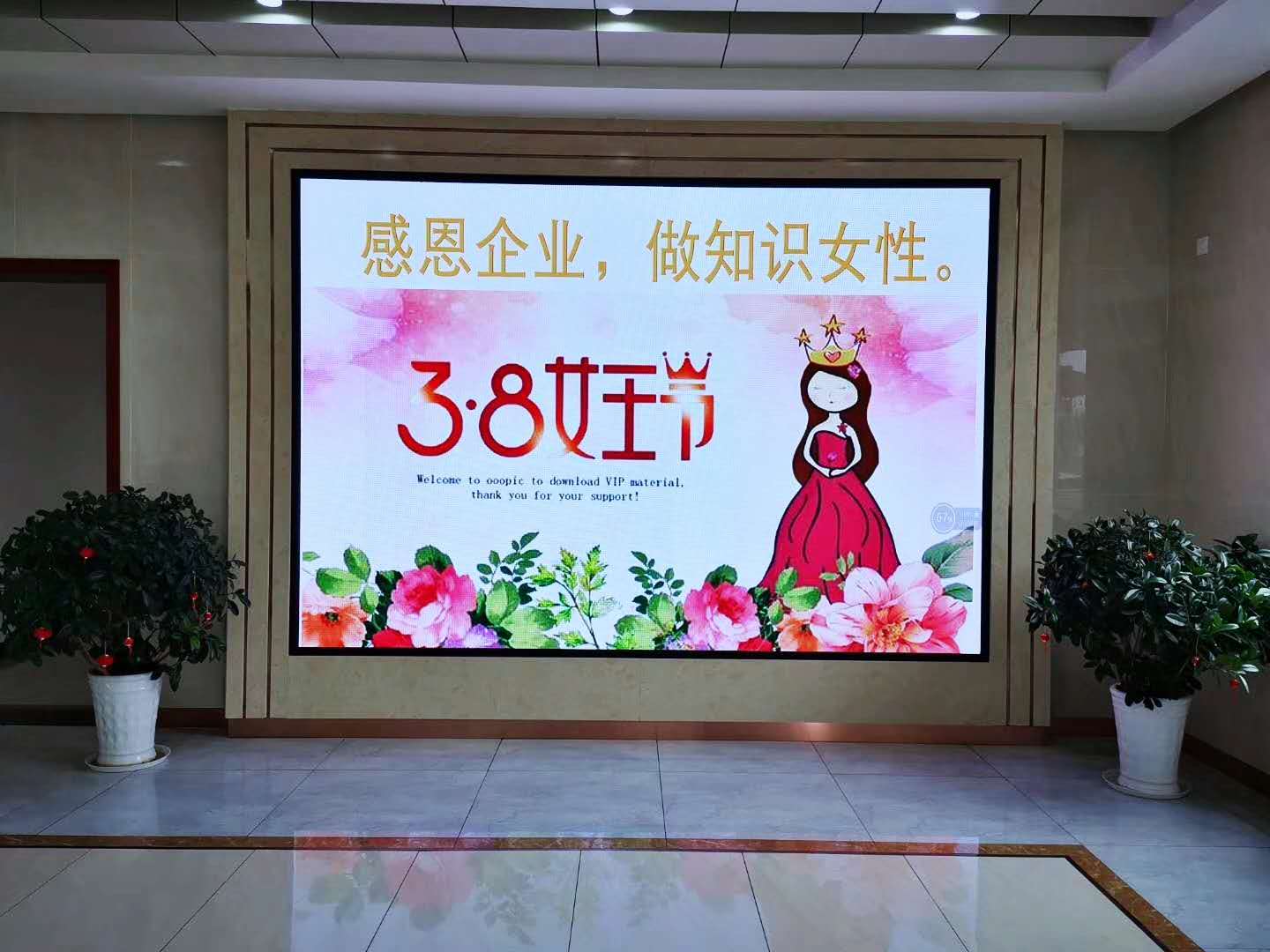 暖心女王节