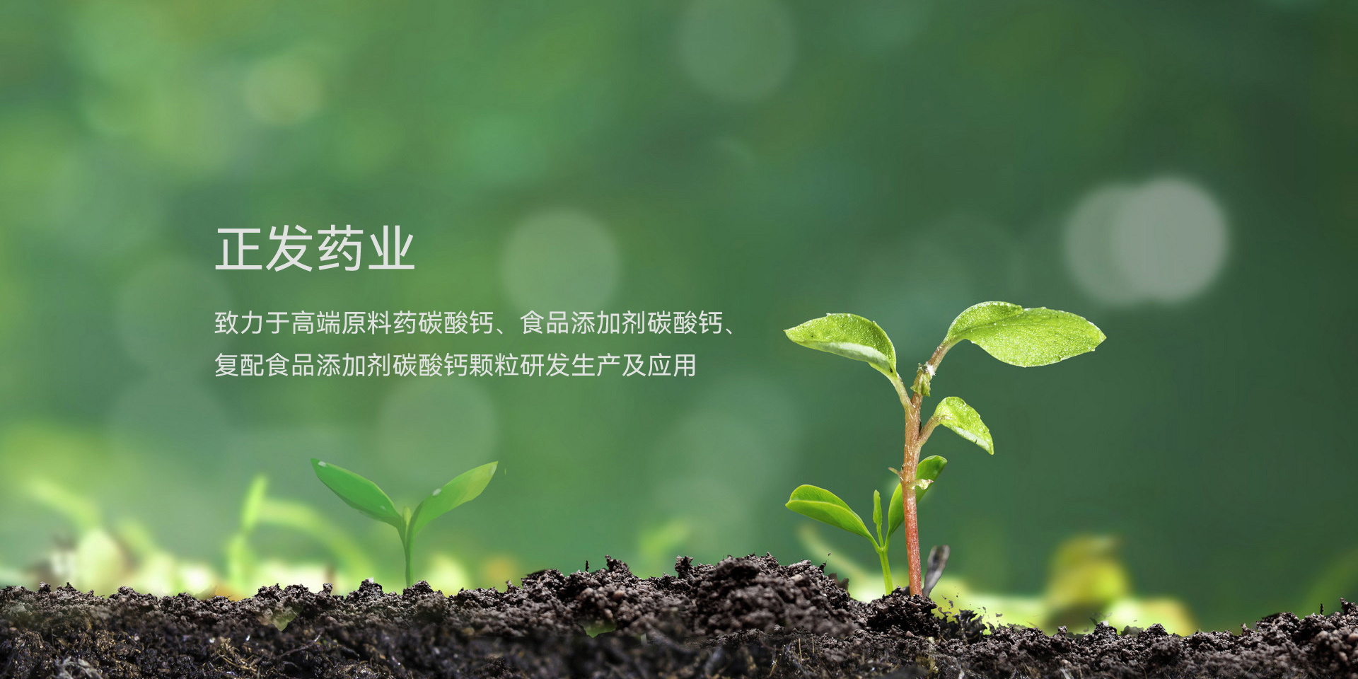 正发药业